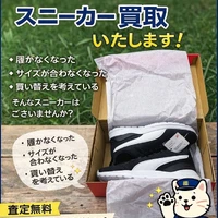 画像552